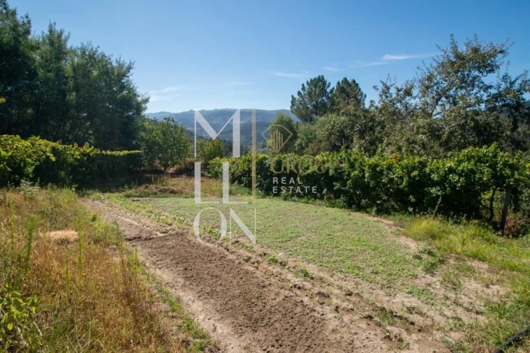Quinta T3 para Venda em Baião (Santa Leocádia) e Mesquinhata Foto 15