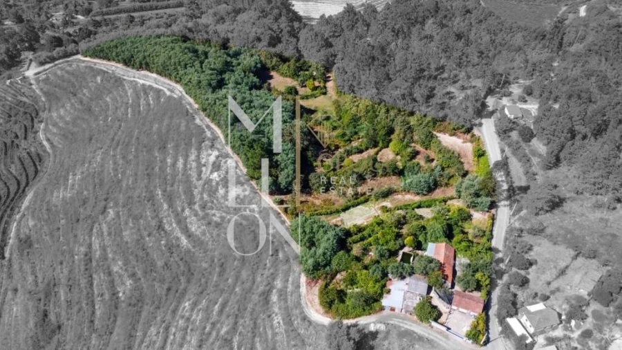 Quinta T3 para Venda em Baião (Santa Leocádia) e Mesquinhata Foto 26