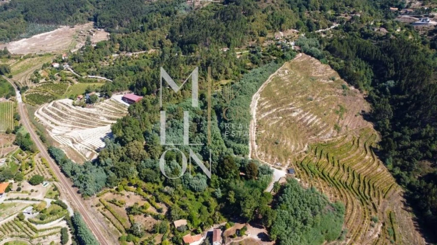 Quinta T3 para Venda em Baião (Santa Leocádia) e Mesquinhata Foto 23