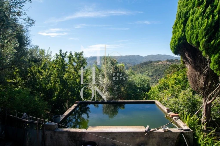 Quinta T3 para Venda em Baião (Santa Leocádia) e Mesquinhata Foto 2