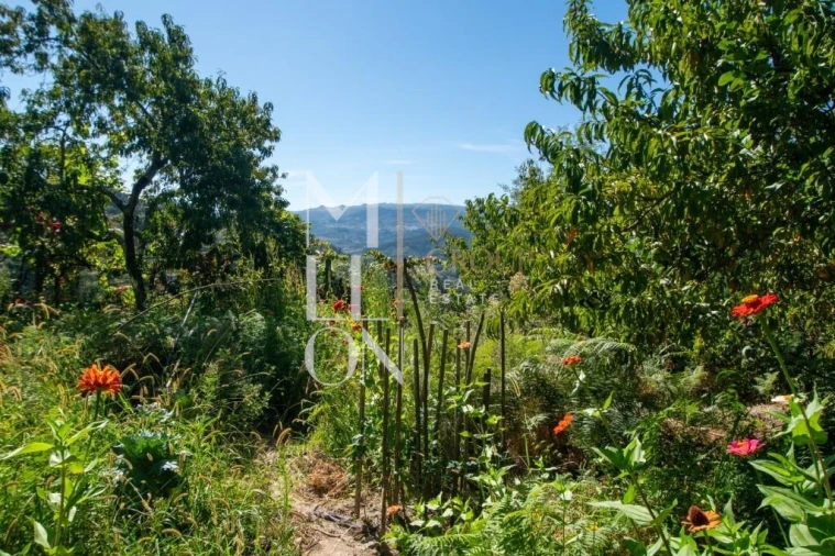 Quinta T3 para Venda em Baião (Santa Leocádia) e Mesquinhata Foto 17