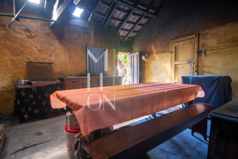 Quinta T3 para Venda em Baião (Santa Leocádia) e Mesquinhata Foto 8