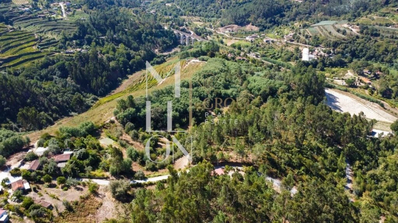Quinta T3 para Venda em Baião (Santa Leocádia) e Mesquinhata Foto 24