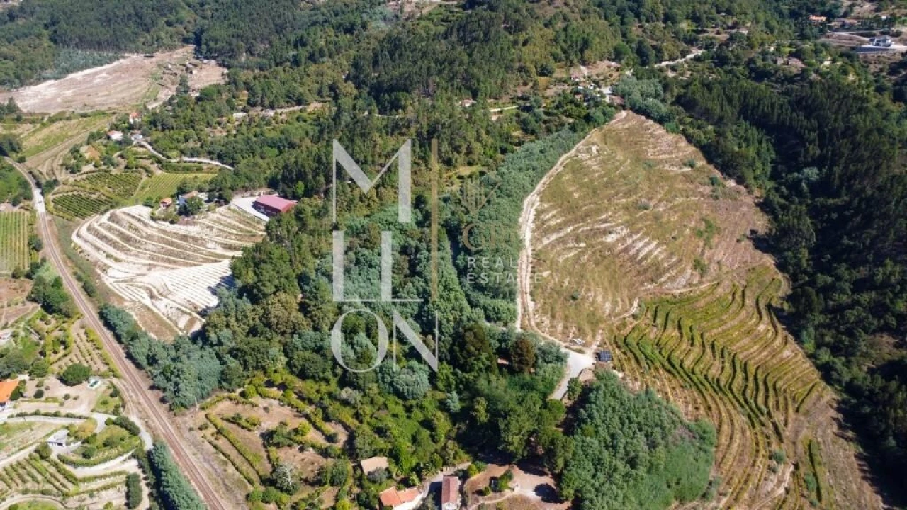 Quinta T3 para Venda em Baião (Santa Leocádia) e Mesquinhata Foto 23
