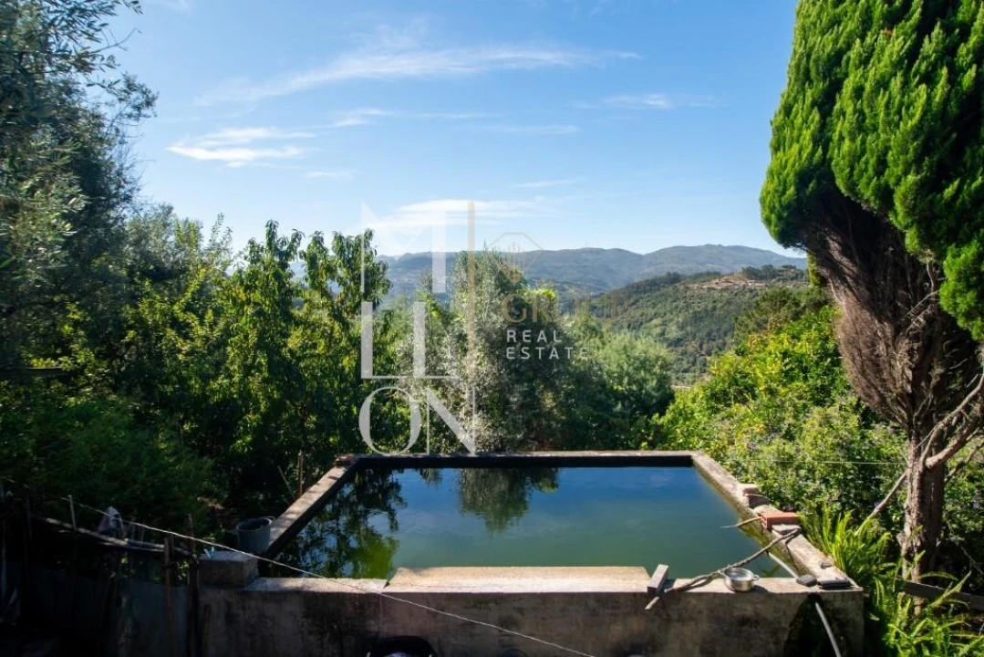 Quinta T3 para Venda em Baião (Santa Leocádia) e Mesquinhata Foto 2