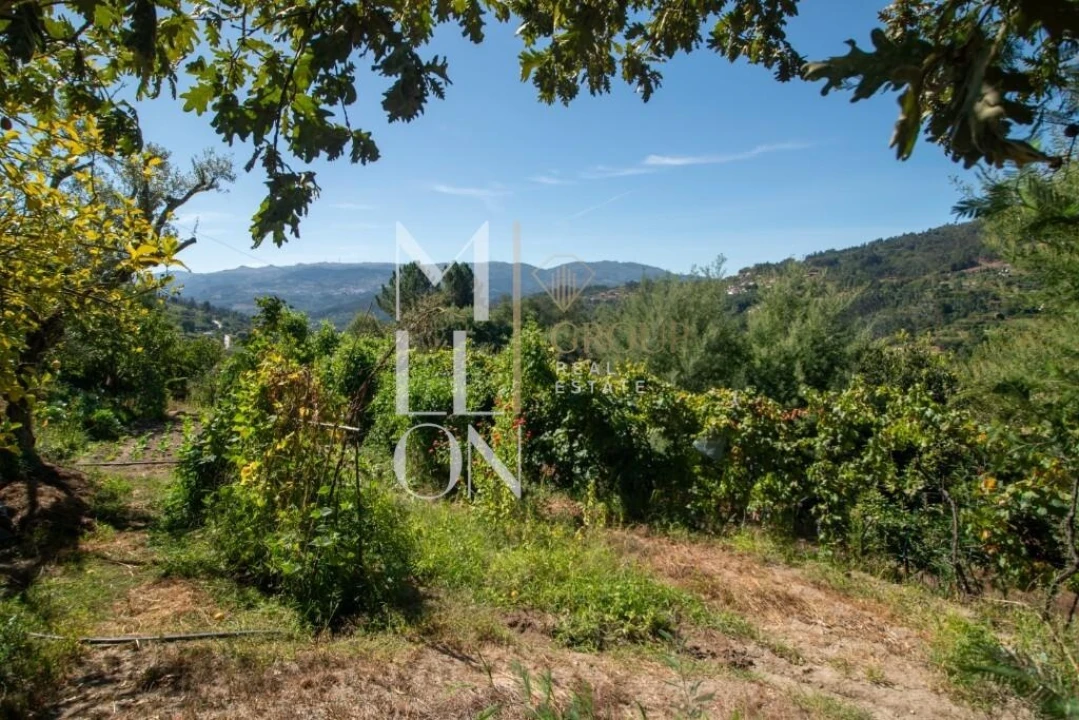 Quinta T3 para Venda em Baião (Santa Leocádia) e Mesquinhata Foto 14