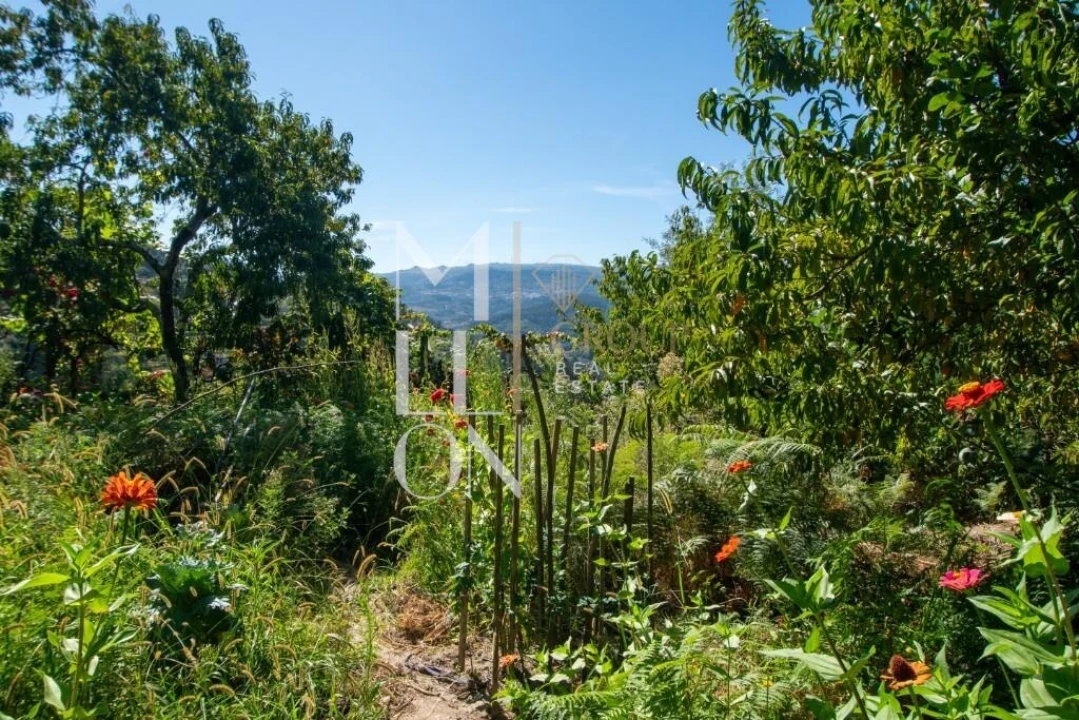 Quinta T3 para Venda em Baião (Santa Leocádia) e Mesquinhata Foto 17