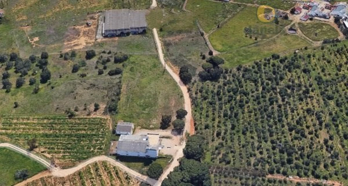 Armazém para Venda em Faro (Sé e São Pedro) Foto 3