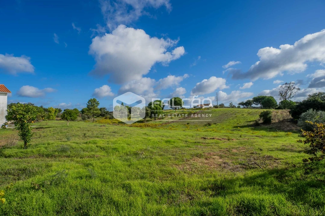 Moradia T4 para Venda em Cabeção Foto 66