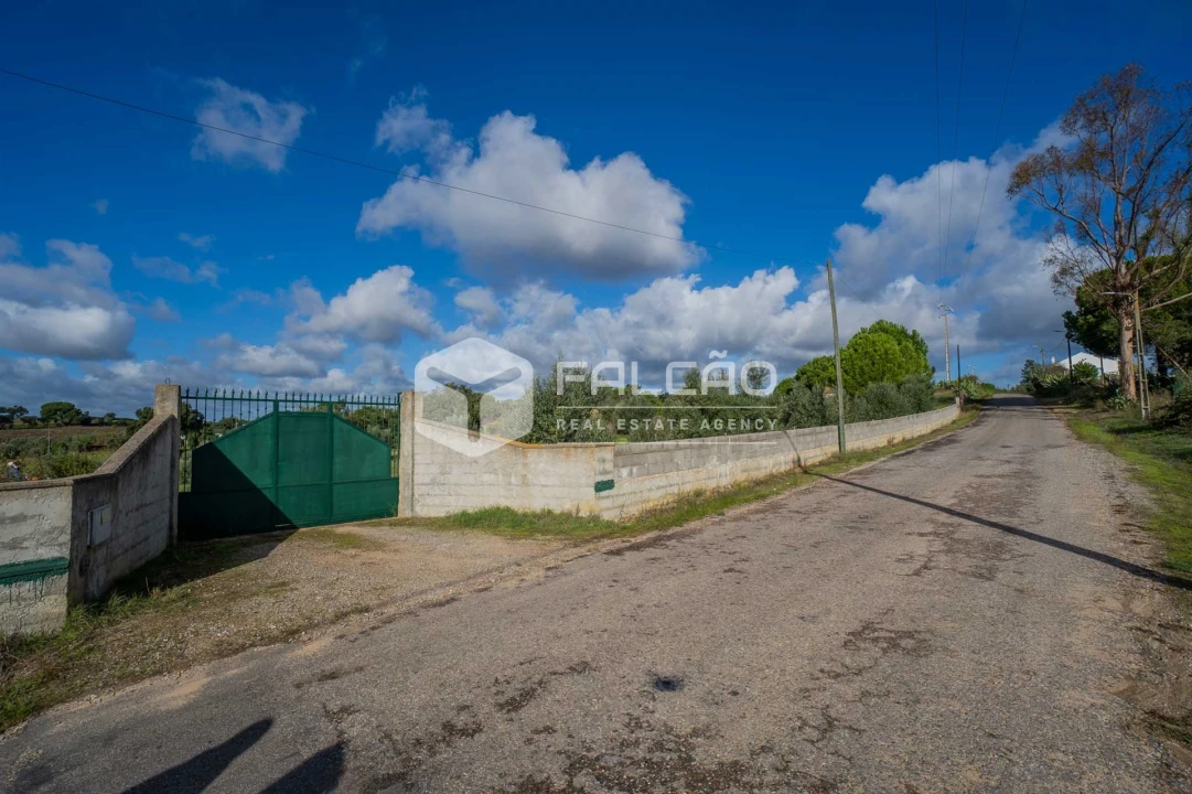 Moradia T4 para Venda em Cabeção Foto 78