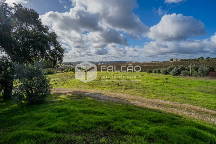 Moradia T4 para Venda em Cabeção Foto 76