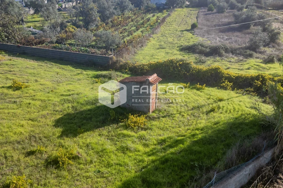 Moradia T4 para Venda em Cabeção Foto 45