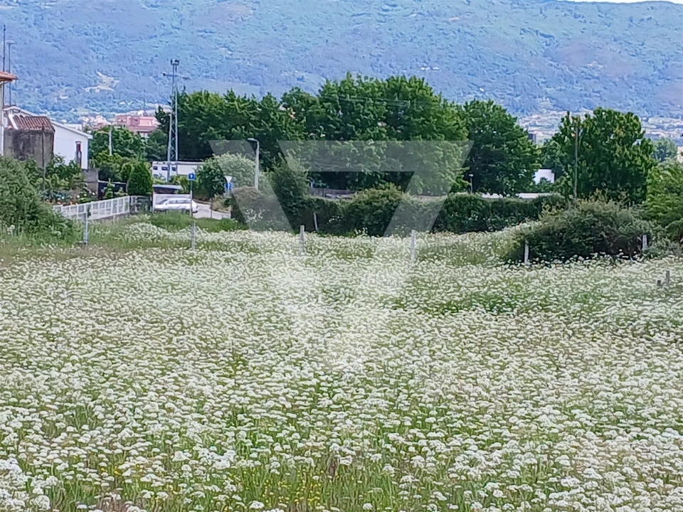 Terreno para Venda em Santa Maria Maior Foto 7