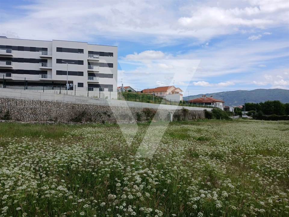 Terreno para Venda em Santa Maria Maior Foto 1