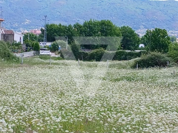 Terreno para Venda em Santa Maria Maior