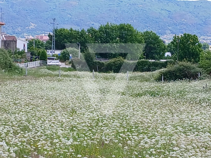 Terreno para Venda em Santa Maria Maior Foto 7