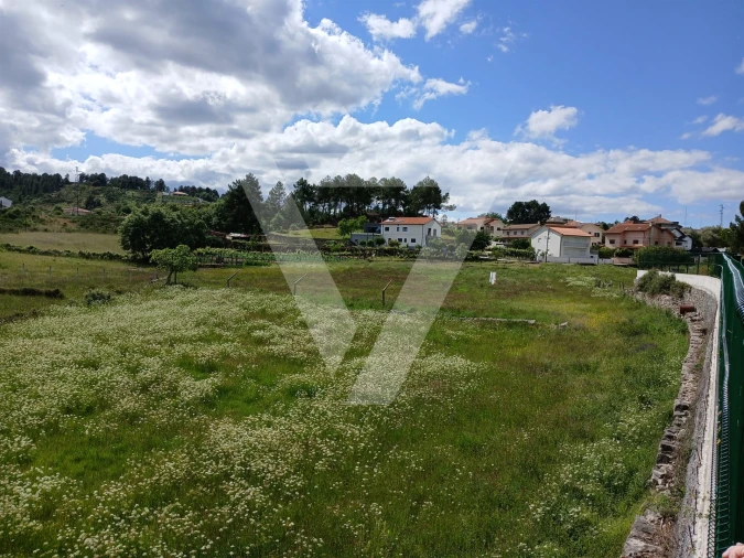 Terreno para Venda em Santa Maria Maior Foto 20