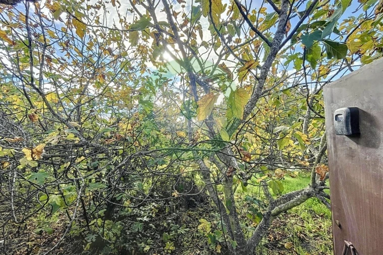 Moradia T3 para Venda em Fornos do Pinhal Foto 19