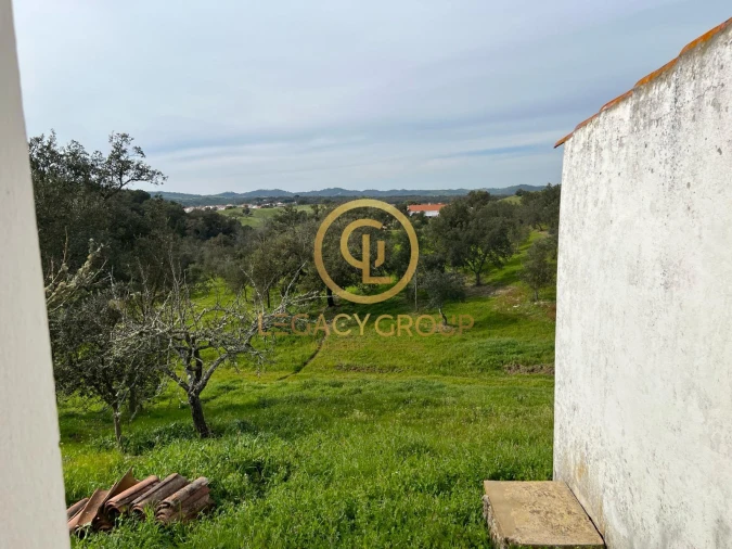 Quinta T2 para Venda em São Martinho das Amoreiras Foto 17