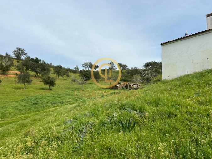 Quinta T2 para Venda em São Martinho das Amoreiras Foto 19