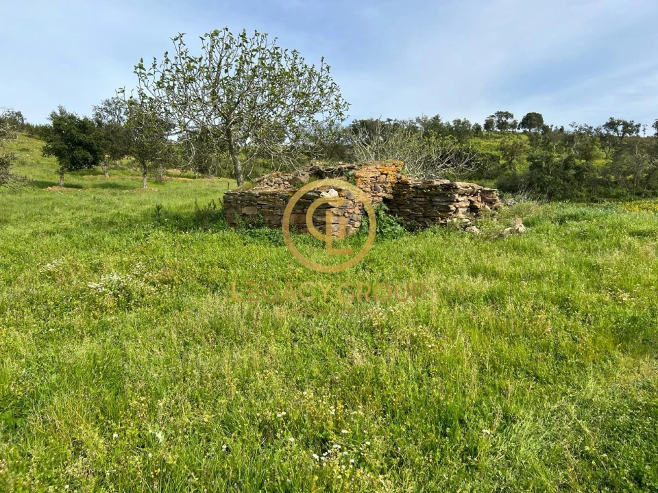 Quinta T2 para Venda em São Martinho das Amoreiras Foto 20