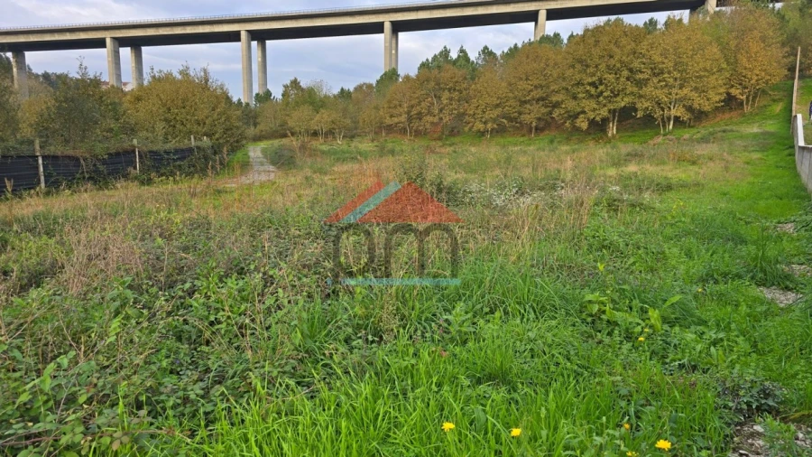 Terreno para Venda em Penacova Foto 4