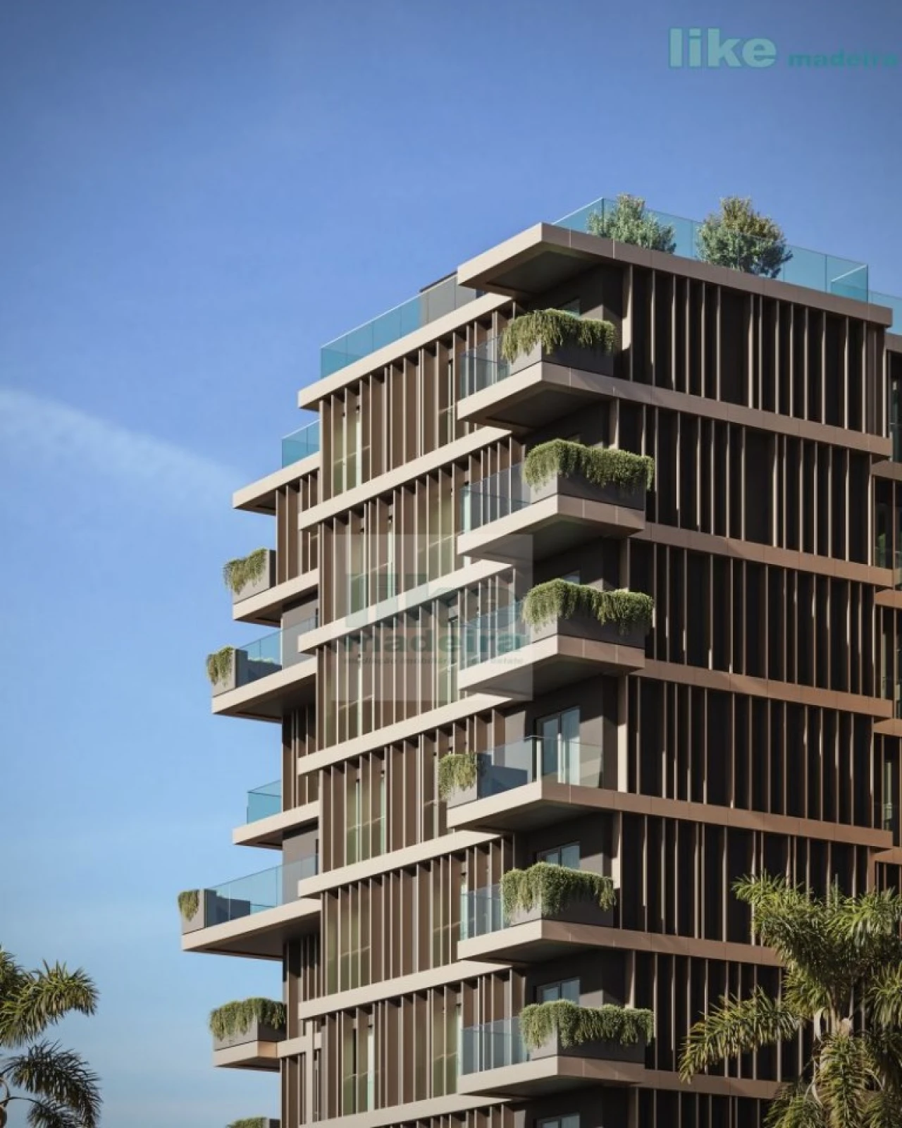 Apartamento T2 para Venda em São Martinho Foto 1