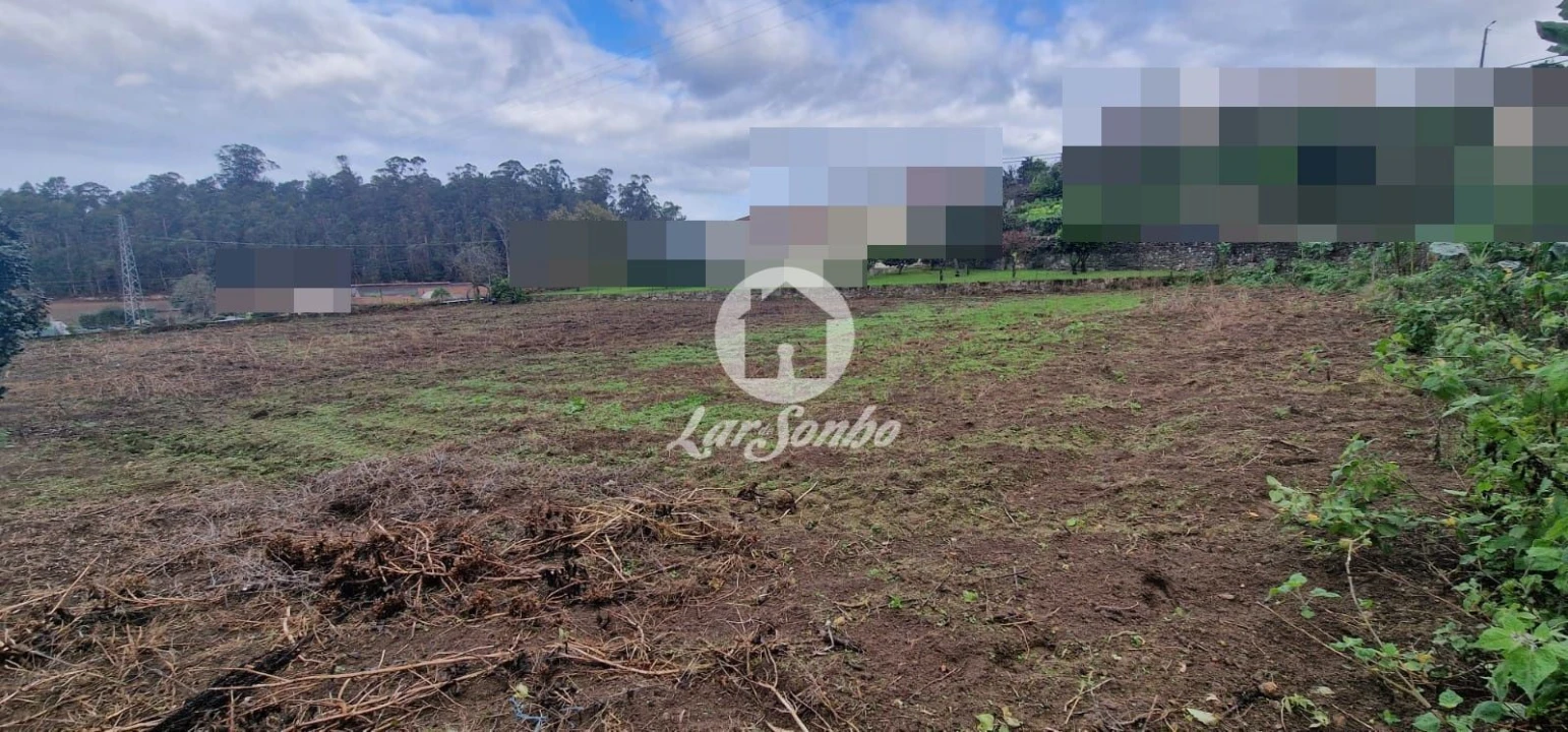 Terreno para Venda em Rio Mau e Arcos Foto 5