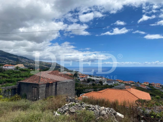 Terreno para Venda em Estreito da Calheta Foto 11
