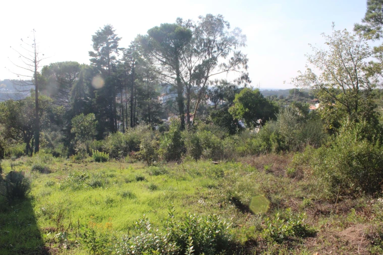 Terreno para Venda em Assafarge e Antanhol Foto 6