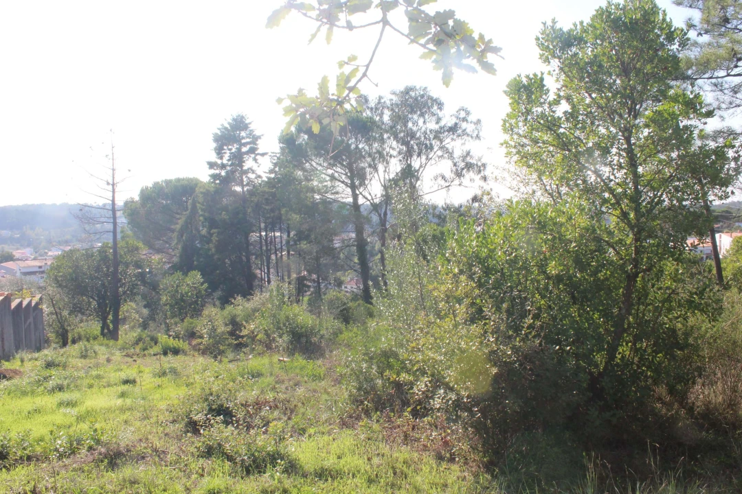 Terreno para Venda em Assafarge e Antanhol Foto 4