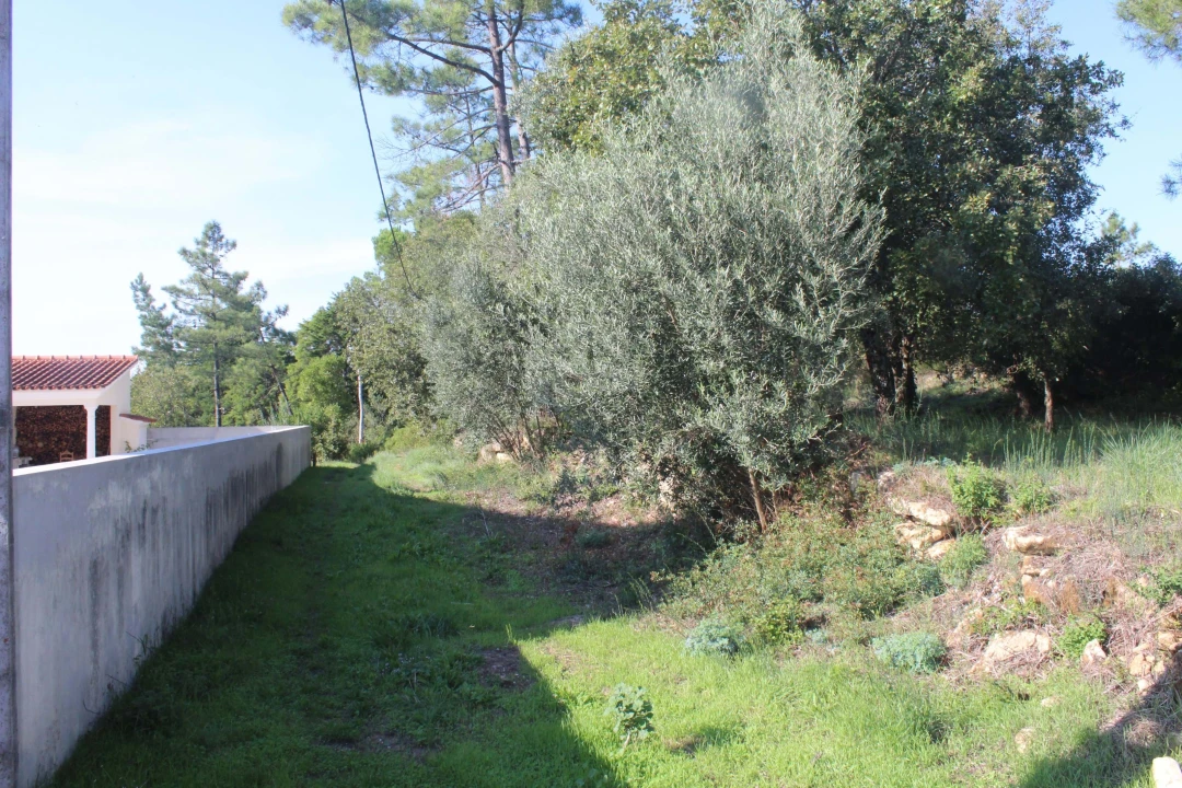Terreno para Venda em Assafarge e Antanhol Foto 1