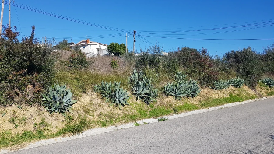 Terreno para Venda em Assafarge e Antanhol Foto 2