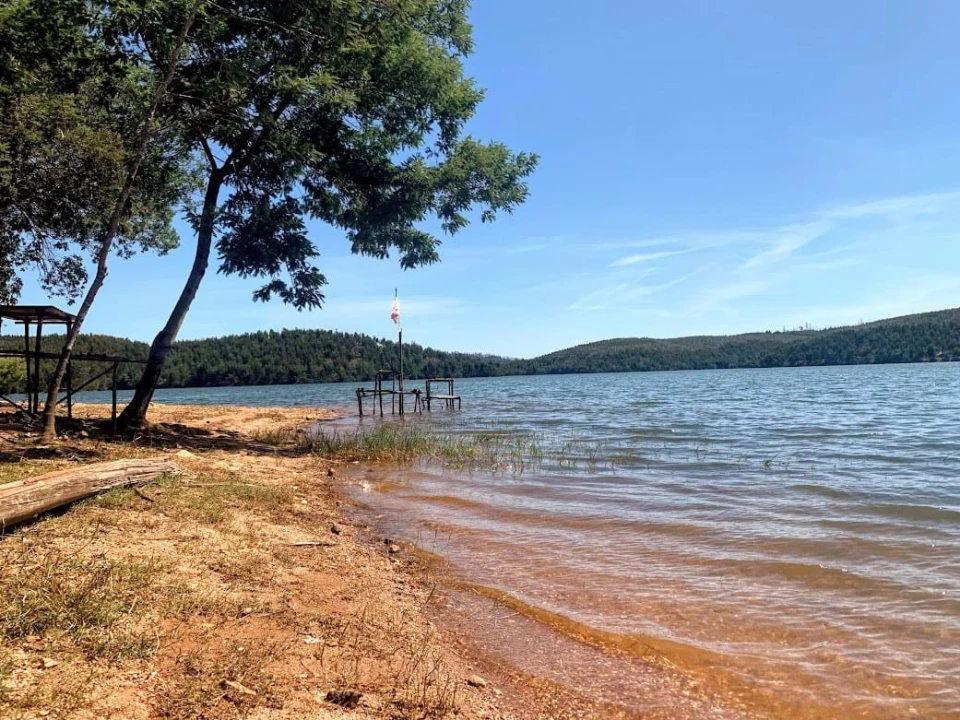 Terreno para Venda em Mortágua, Vale de Remígio, Cortegaça e Almaça Foto 7