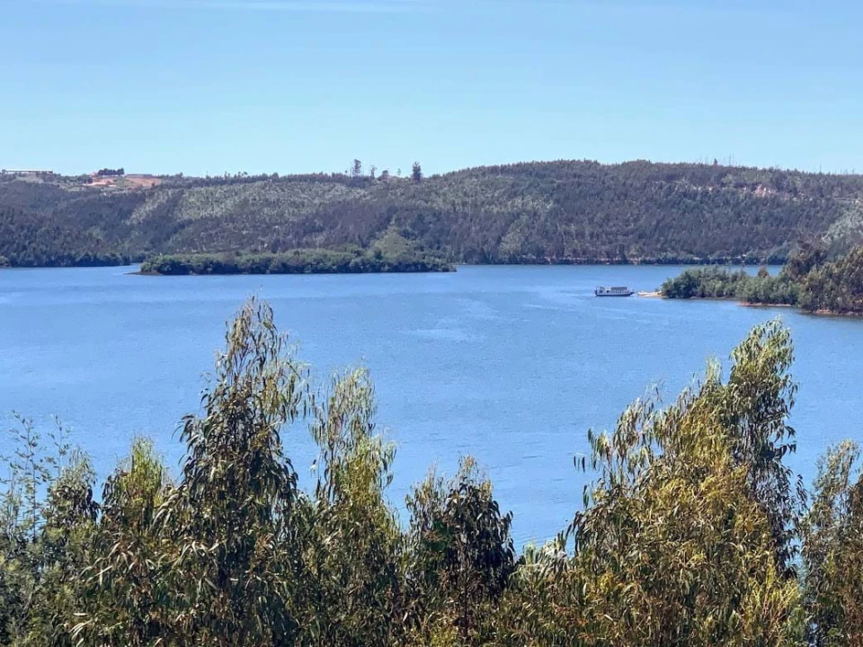 Terreno para Venda em Mortágua, Vale de Remígio, Cortegaça e Almaça Foto 4