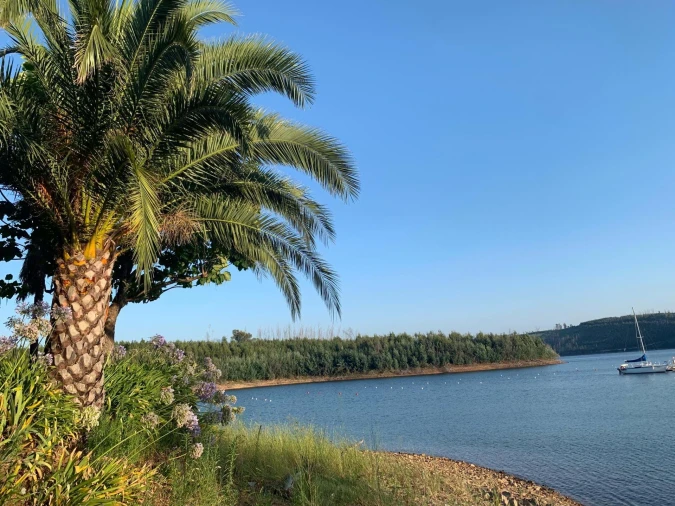 Terreno para Venda em Mortágua, Vale de Remígio, Cortegaça e Almaça Foto 9