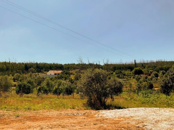 Terreno para Venda em Mortágua, Vale de Remígio, Cortegaça e Almaça Foto 5