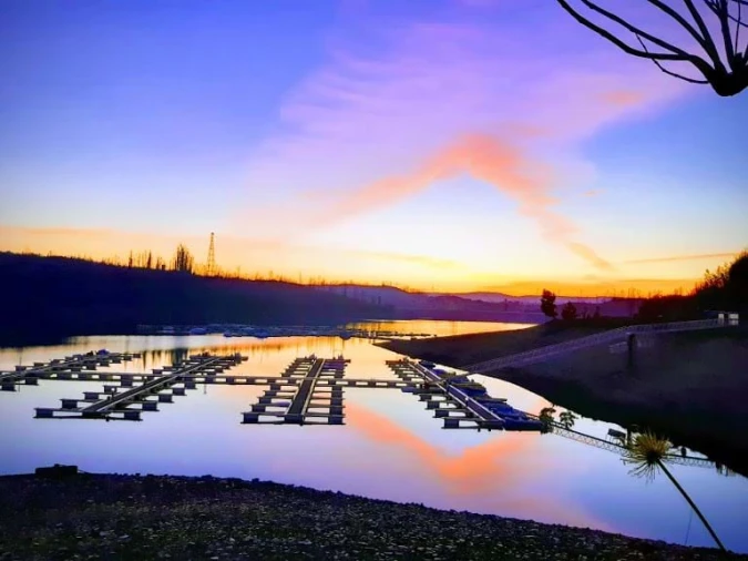 Terreno para Venda em Mortágua, Vale de Remígio, Cortegaça e Almaça Foto 16