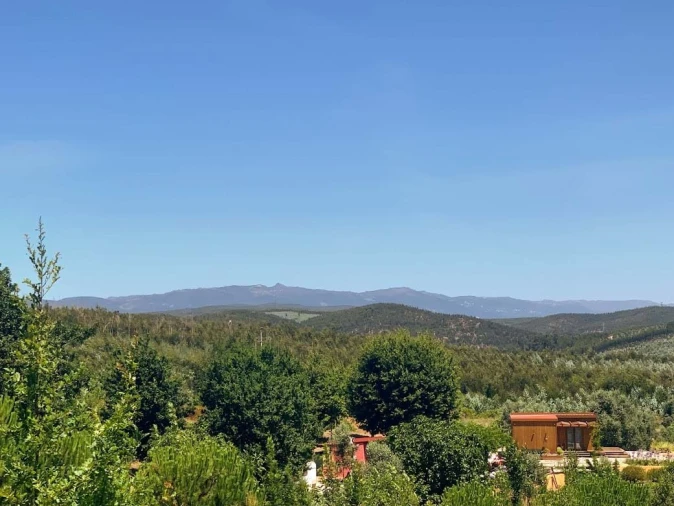 Terreno para Venda em Mortágua, Vale de Remígio, Cortegaça e Almaça Foto 2