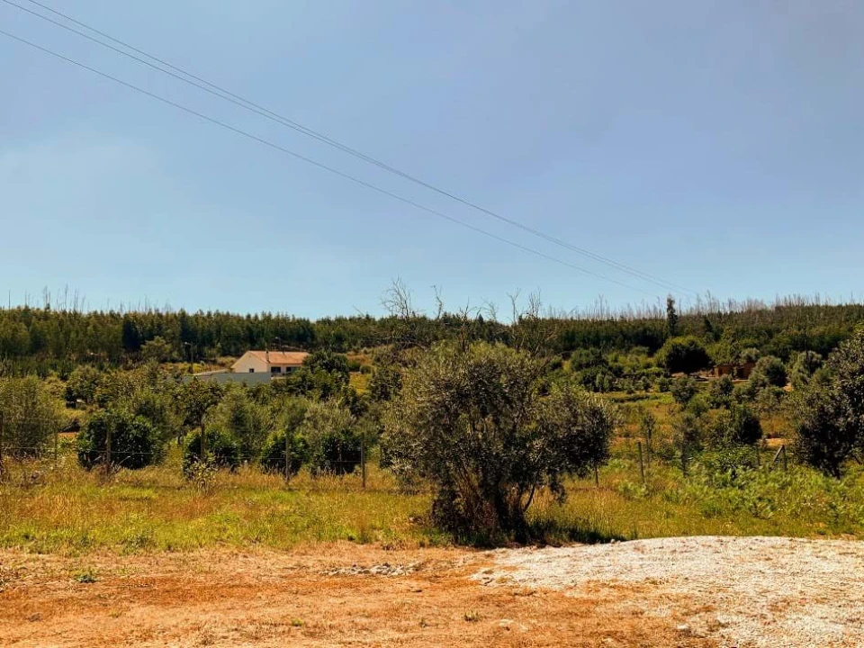 Terreno para Venda em Mortágua, Vale de Remígio, Cortegaça e Almaça Foto 5