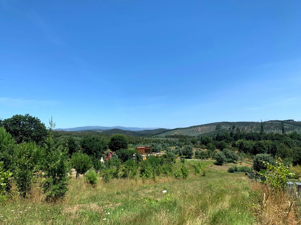 Terreno para Venda em Mortágua, Vale de Remígio, Cortegaça e Almaça Foto 3