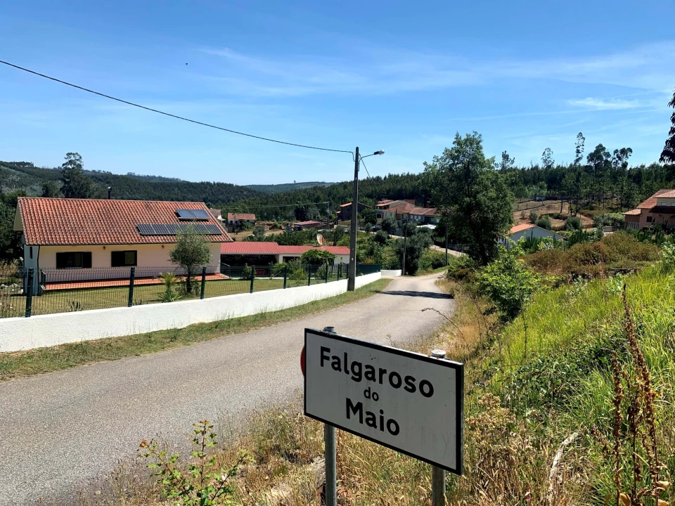 Terreno para Venda em Mortágua, Vale de Remígio, Cortegaça e Almaça Foto 1