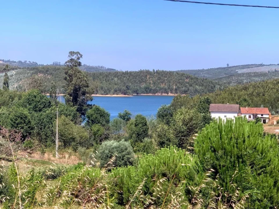 Terreno para Venda em Mortágua, Vale de Remígio, Cortegaça e Almaça Foto 8