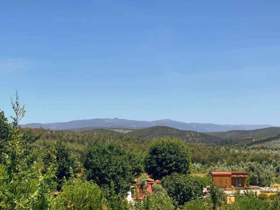 Terreno para Venda em Mortágua, Vale de Remígio, Cortegaça e Almaça Foto 2