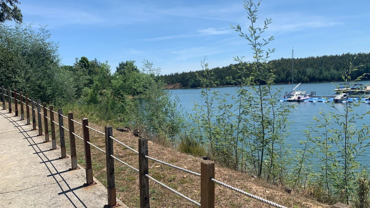Terreno para Venda em Mortágua, Vale de Remígio, Cortegaça e Almaça Foto 6