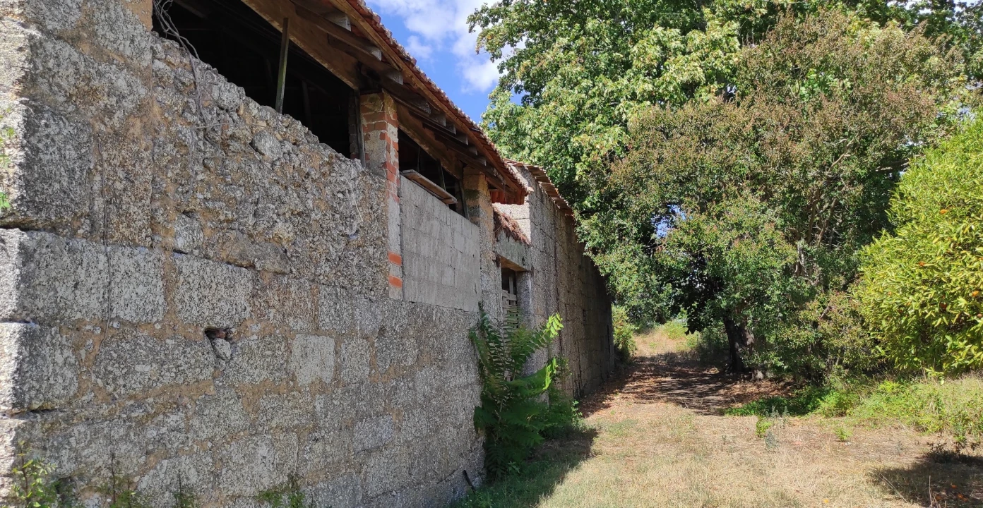 Quinta T57 para Venda em São João de Areias Foto 16