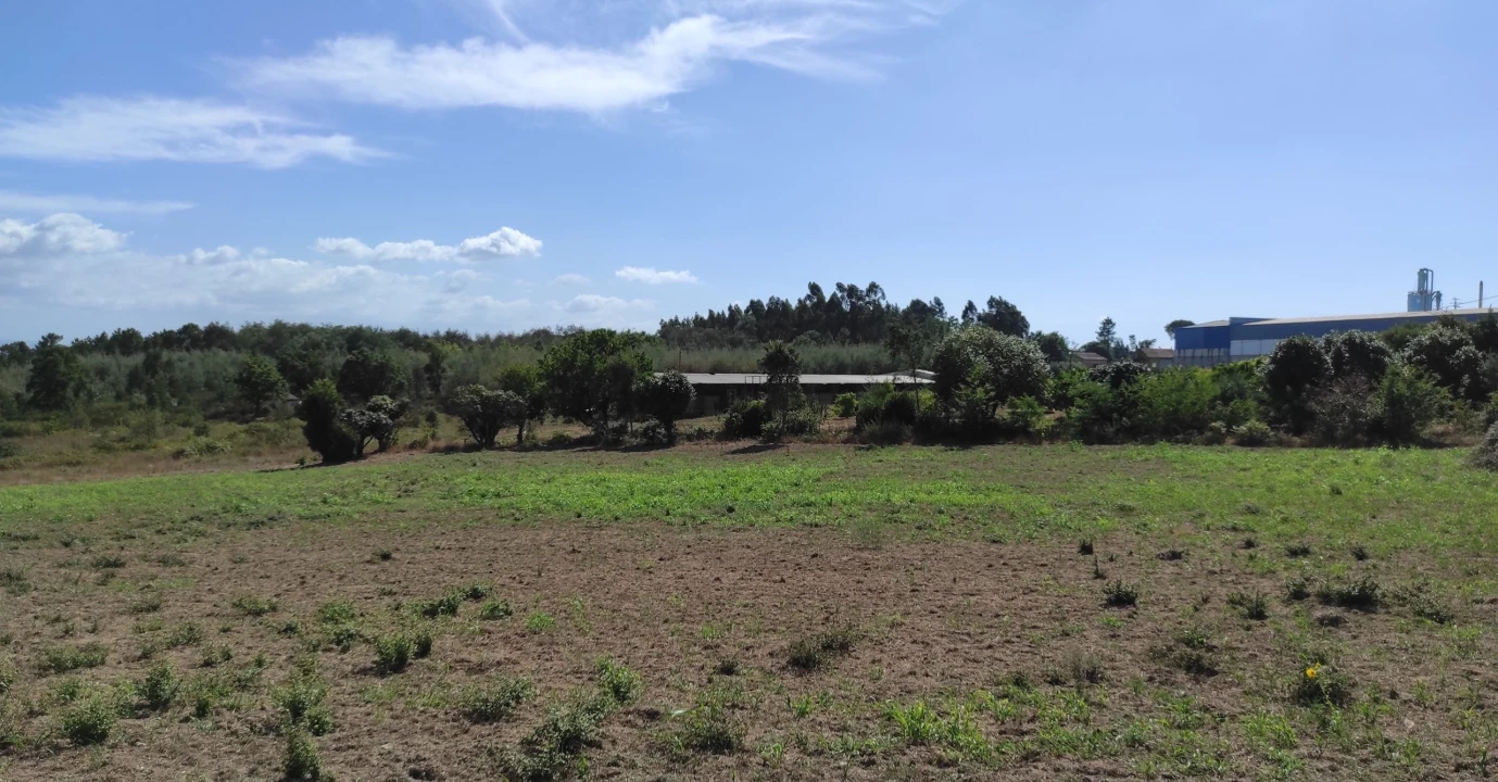 Quinta T57 para Venda em São João de Areias Foto 19