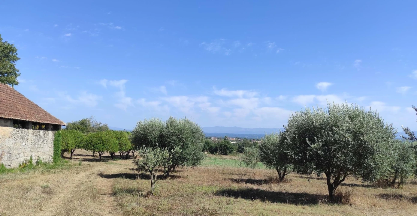 Quinta T57 para Venda em São João de Areias Foto 8