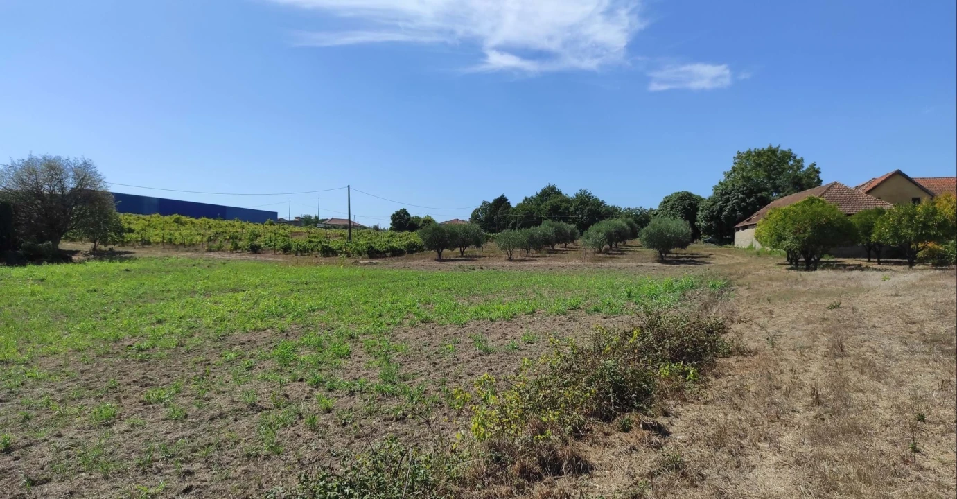 Quinta T57 para Venda em São João de Areias Foto 20