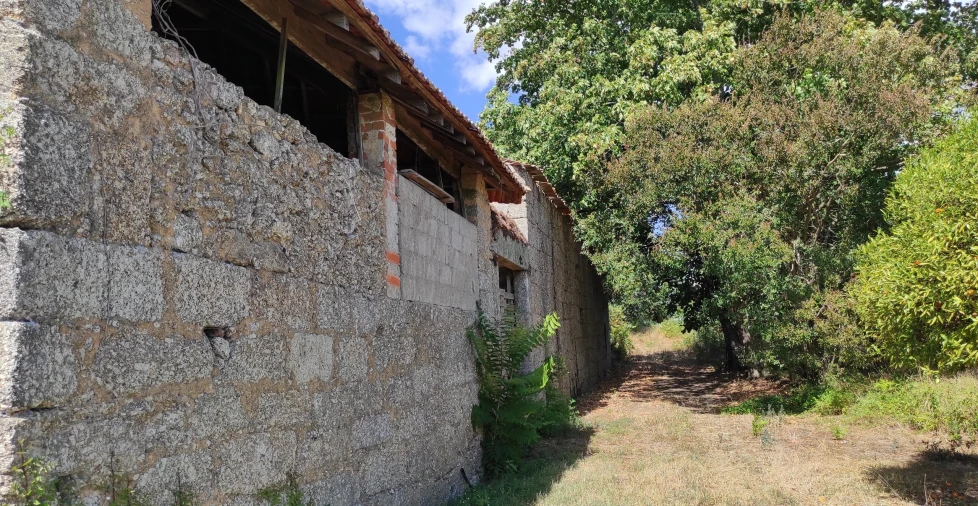 Quinta T57 para Venda em São João de Areias Foto 16